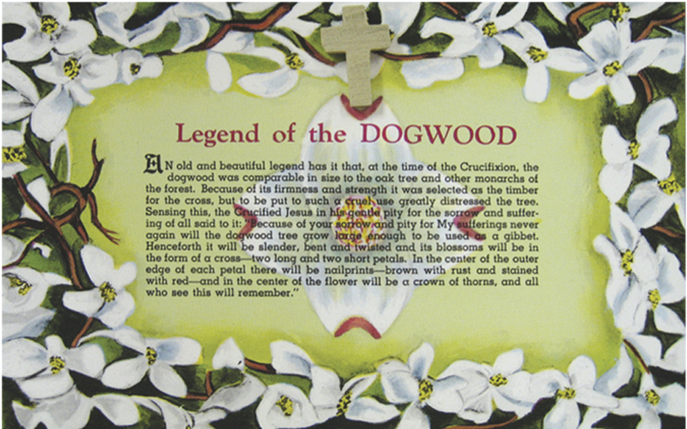 Dogwood Post Card & Cross